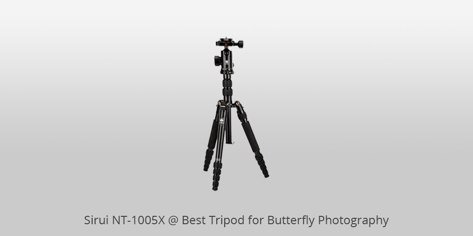 best tripod for butterfly photography